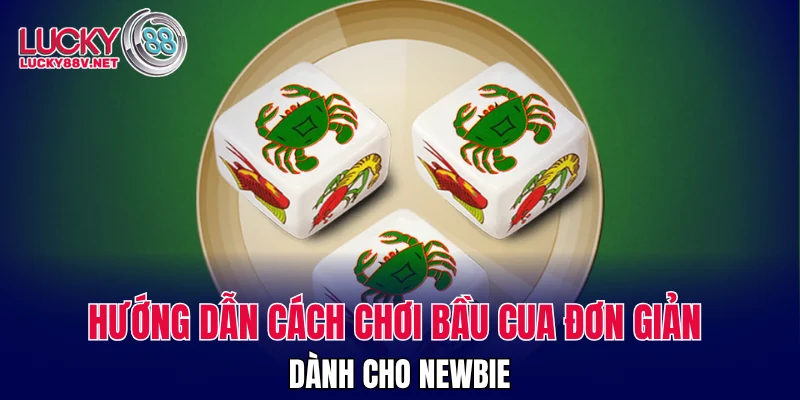 Hướng dẫn cách chơi bầu cua đơn giản cho newbie